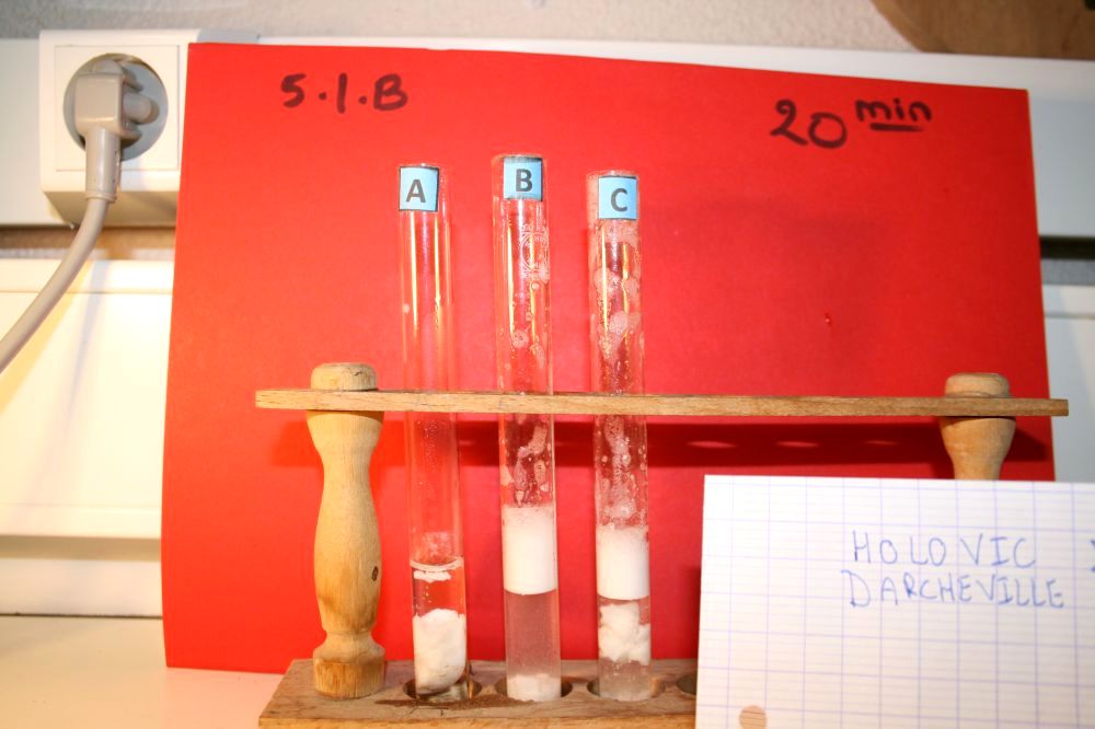 gal/LES_CINQUIEMES/ACTIVITE DIGESTION IN VITRO/Groupe_03/Groupe03_T_00h20min/Groupe03_temps00H20min_31.jpg